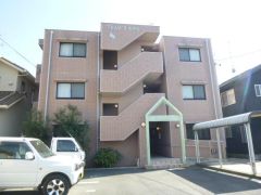 Éls啽443-24̃}V̌O