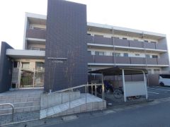 �É����܈�s�V�r663�̃}���V�����̌����O��